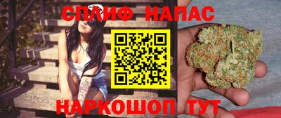дмт Пенза