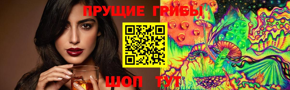 Галлюциногенные грибы Psilocybe Ржев