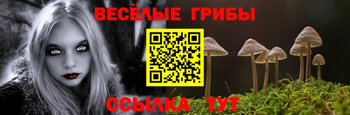 Псилоцибиновые грибы ЛСД  Вход с VPN  Ржев 